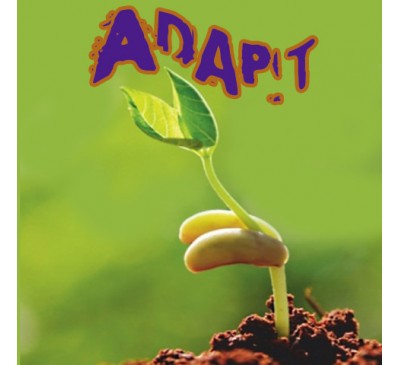 Стимулятор роста / адаптоген для растений (20 г) / Plantarium Adapt